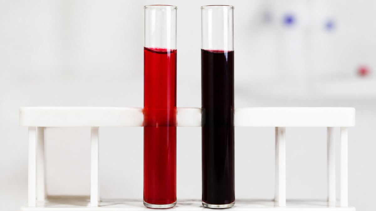 O mesmo sangue, com e sem oxigênio: vermelho vivo e vermelho-escuro